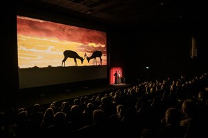 DERPART Live-Shows begeistern über 5.000 Zuschauer