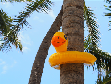 Palme und Badeente
