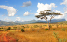Rundreisen Afrika