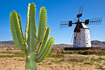 Fuerteventura