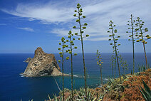 Teneriffa