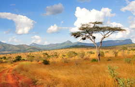 Rundreisen Afrika