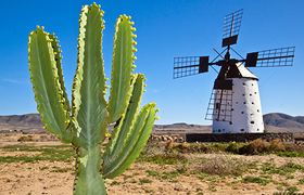 Fuerteventura