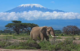 Kenia