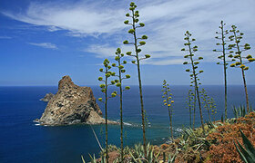 Teneriffa