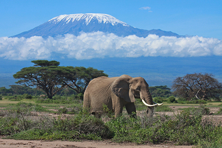 Kenia